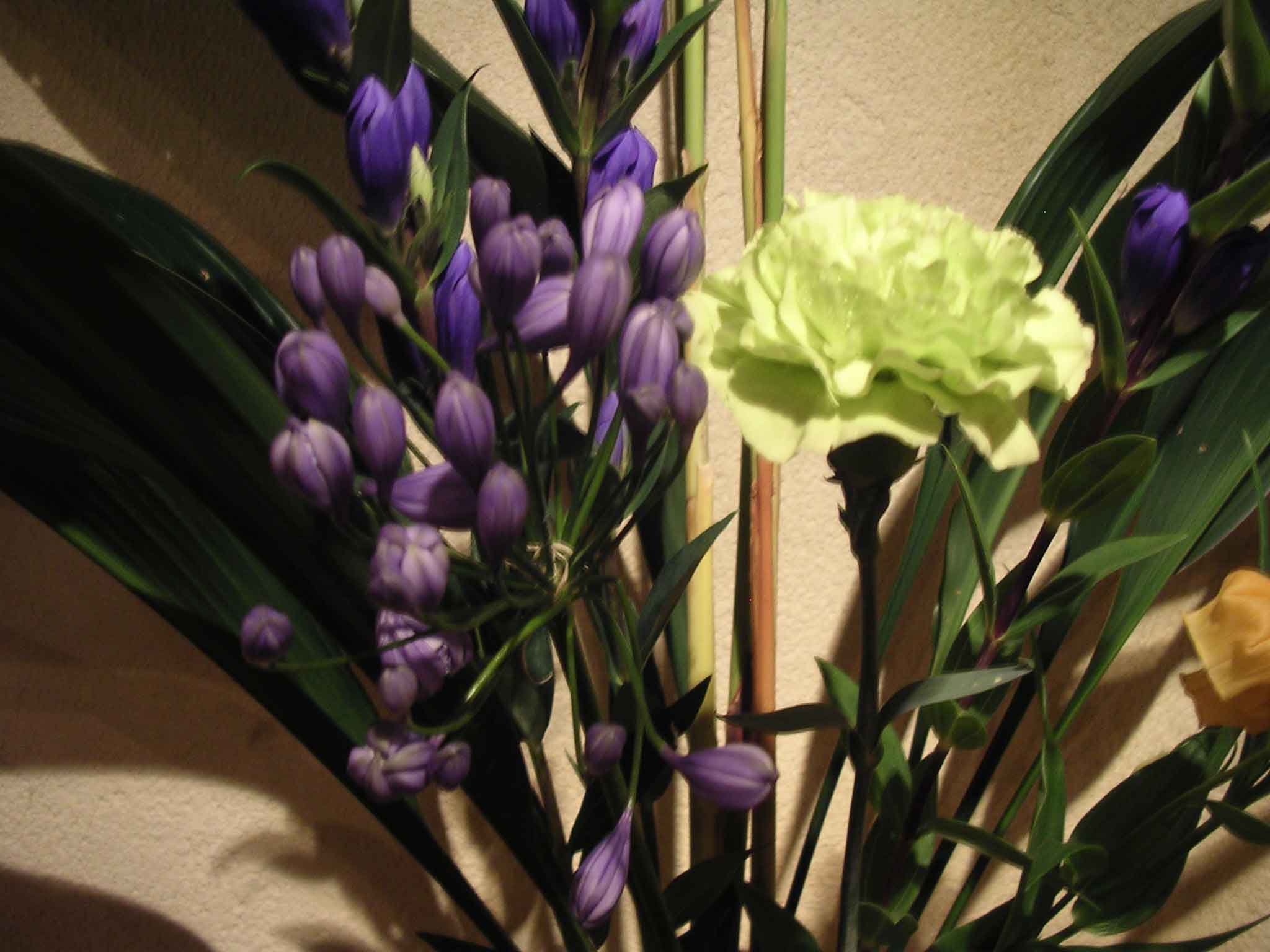 f0070581_15371329.jpg