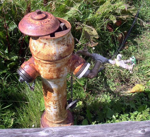 b0038588_20020100.jpg