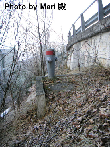 b0038588_2051625.jpg