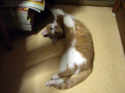 f0027189_1911630.jpg