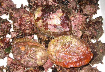 f0027396_22135546.jpg