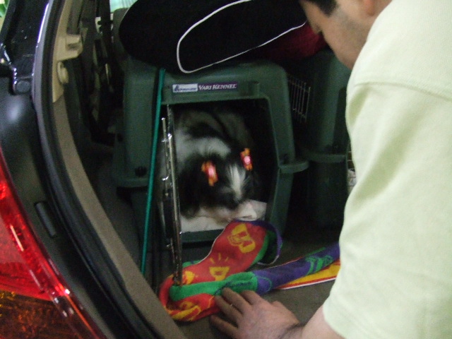 e0050801_039914.jpg