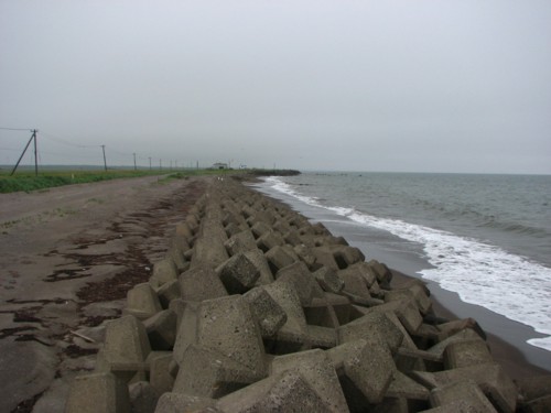 f0020302_12434047.jpg