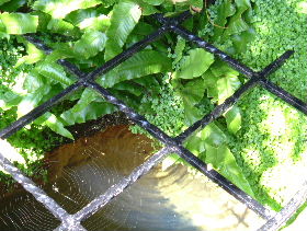 e0046112_2135290.jpg