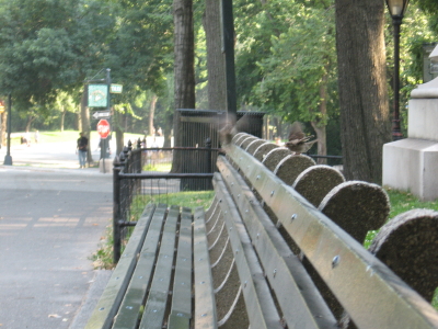 f0028125_13453260.jpg