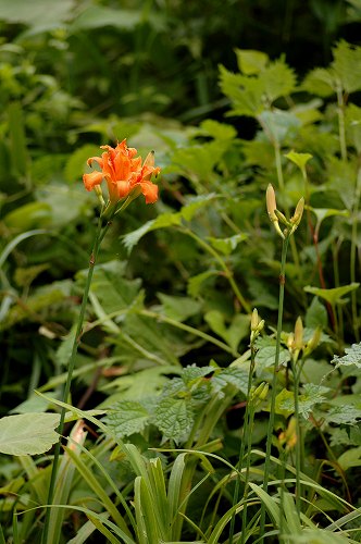 c0027027_21412057.jpg