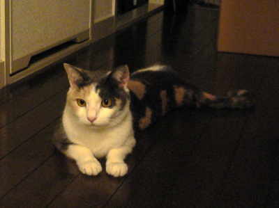 f0073833_16354131.jpg