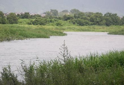 f0053342_15402845.jpg
