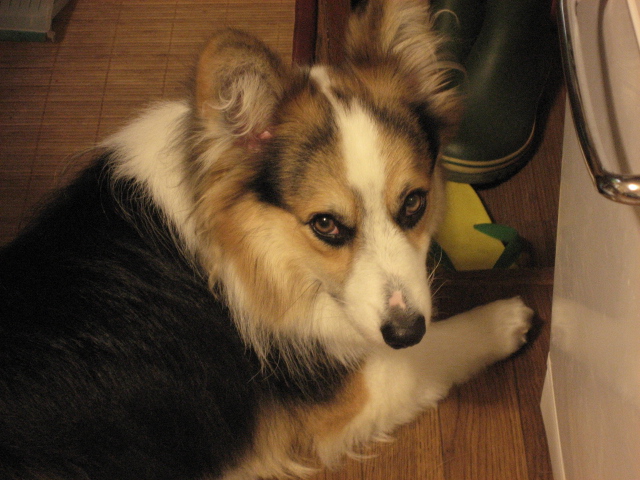 b0097747_921582.jpg