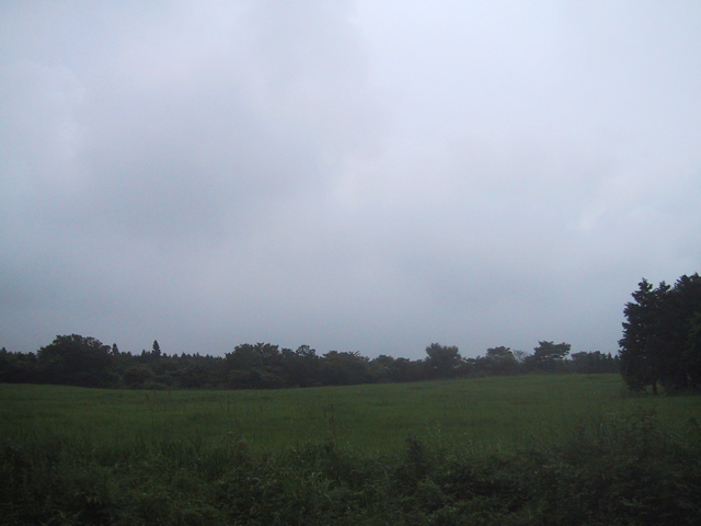 f0046250_1734949.jpg