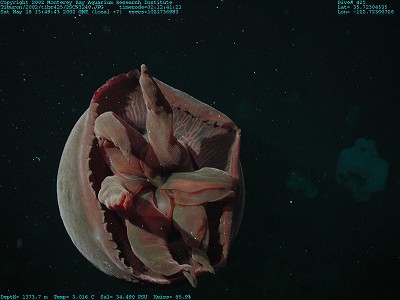 e0066554_2133046.jpg