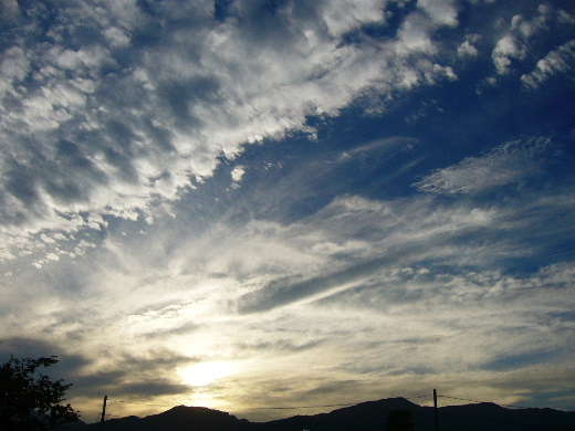 b0015260_1945314.jpg