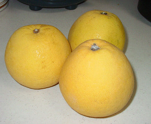 f0003174_21284863.jpg