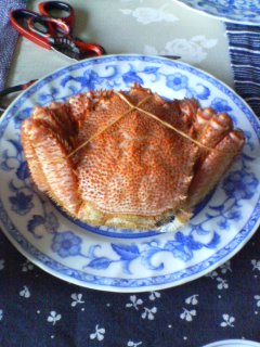 e0063580_2274788.jpg