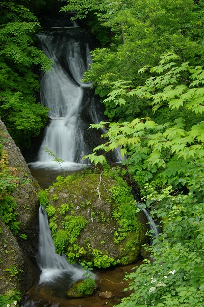 e0051186_17472826.jpg