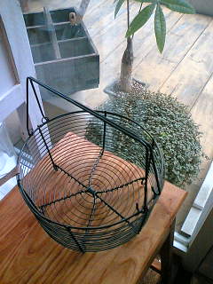 f0103304_0115578.jpg