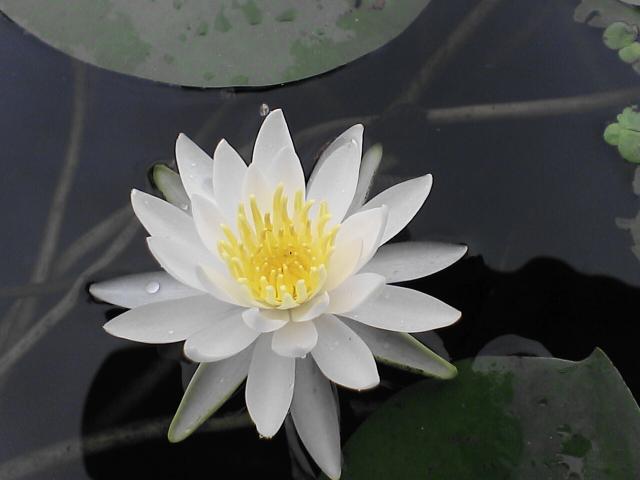 d0071507_9155621.jpg