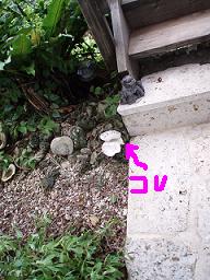 f0023210_22303914.jpg