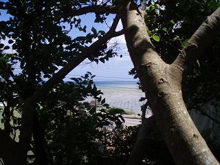 f0023210_22311060.jpg