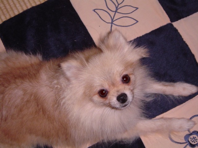 f0012924_2343616.jpg