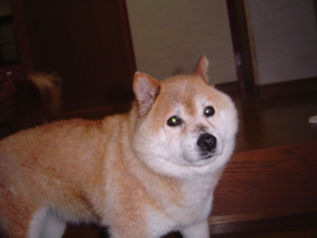 f0012924_2351977.jpg