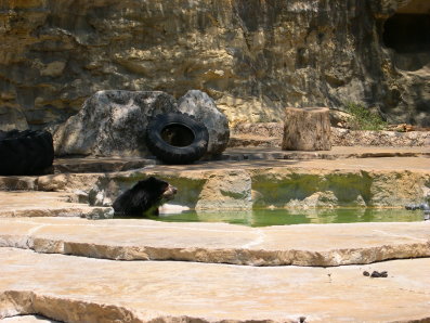 e0052725_6184950.jpg