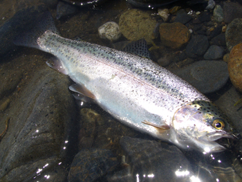 f0055244_13132971.jpg