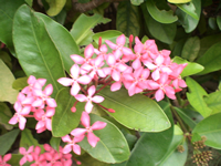 b0012252_217377.jpg