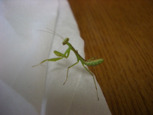 b0095760_23572561.jpg