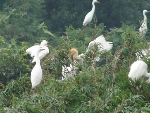 b0061261_20121094.jpg