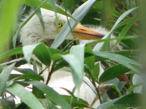 b0061261_2025419.jpg