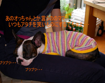 c0032567_2114354.jpg
