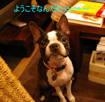 c0032567_2146858.jpg