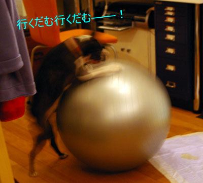 c0032567_21553612.jpg