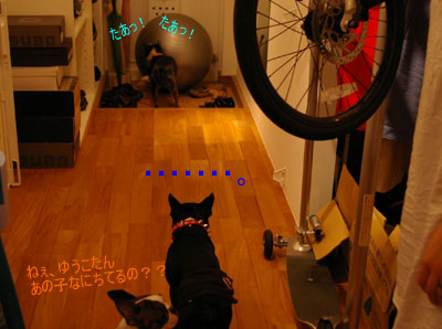 c0032567_21584045.jpg