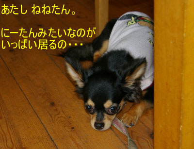 c0032567_2175032.jpg