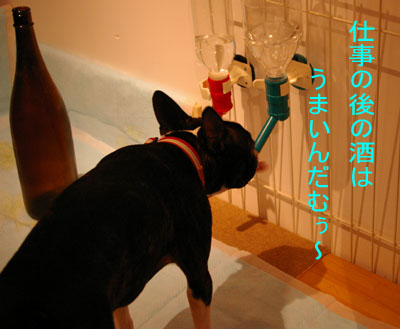 c0032567_2213089.jpg