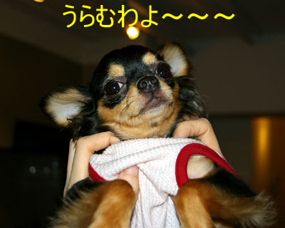 c0032567_22183730.jpg