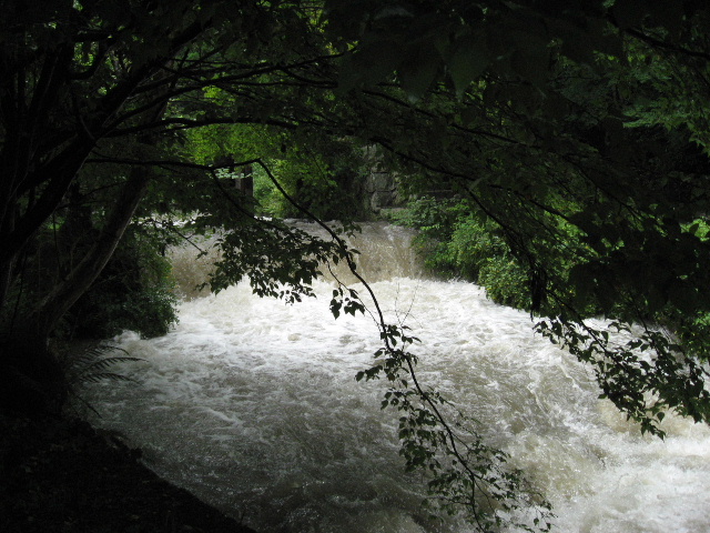 b0055171_8535426.jpg