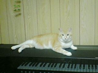 f0095271_11163262.jpg
