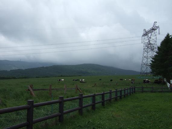 d0032480_3105659.jpg