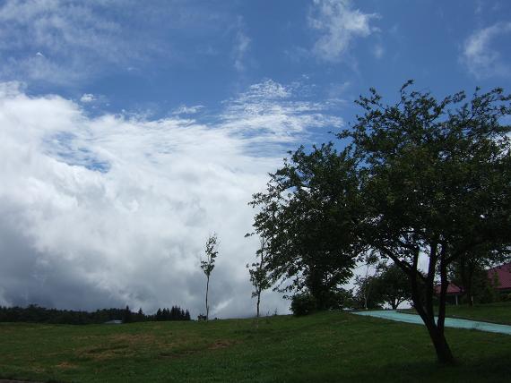 d0032480_327935.jpg