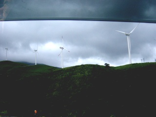 c0002089_19205936.jpg