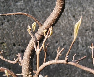b0067795_15105368.jpg