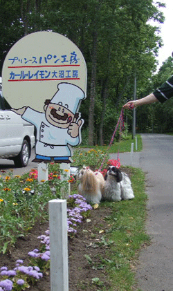 e0050801_2340473.gif