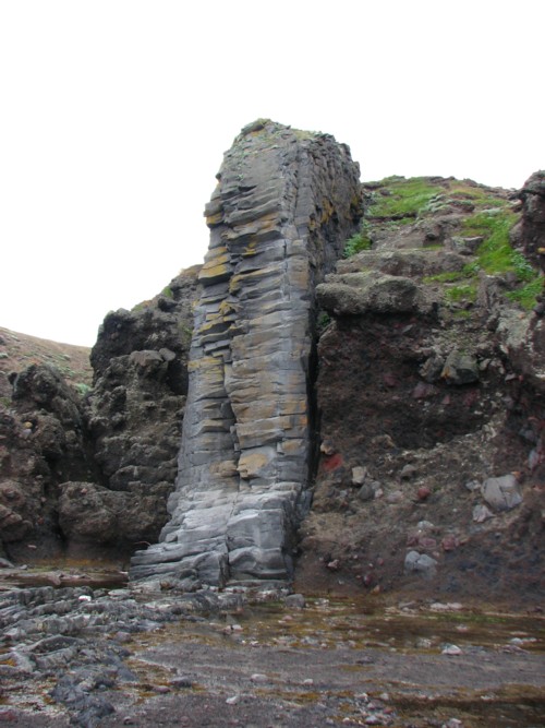 f0020302_12412367.jpg