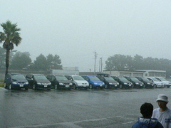 b0089531_232431.jpg
