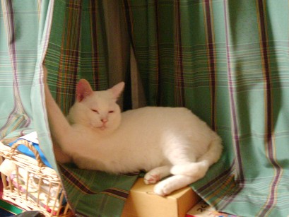 f0002833_22233322.jpg