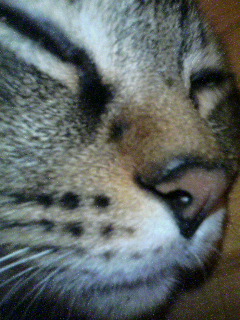 a0009835_142616100.jpg