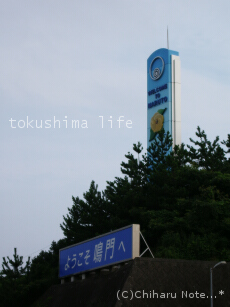 c0046340_22285875.jpg